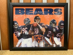 Chicago Bears Poster